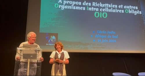 Dr Cécile Jadin — juin 2024