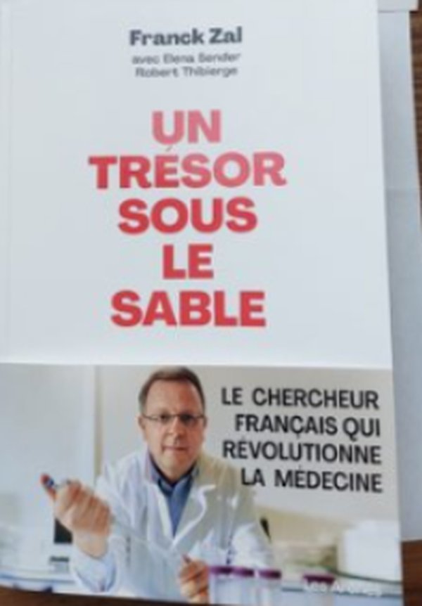 Un trésor sous le sable